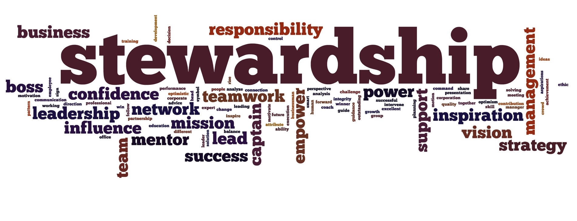 One Kind of Stewardship